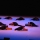 Momenti di Danza Contemporanea per la Caritas di Roma