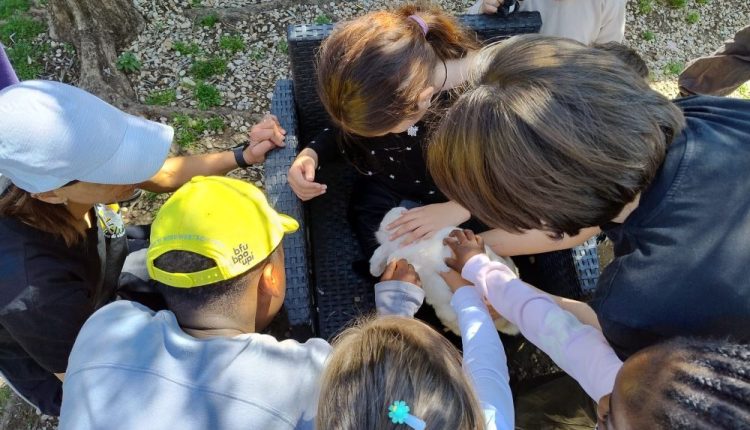 Passeggiata bambini Outdoor Education
